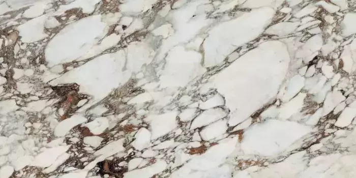 Напольная плитка «Rex» Les Bijoux De Rex Glossy 120x60 766333 Breche Capraia