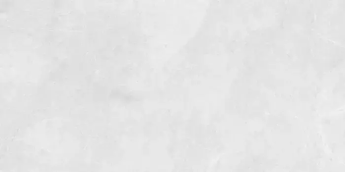 Напольная плитка «Staro» Slim Barcelona Matt. 120x60 С0005089 bianco