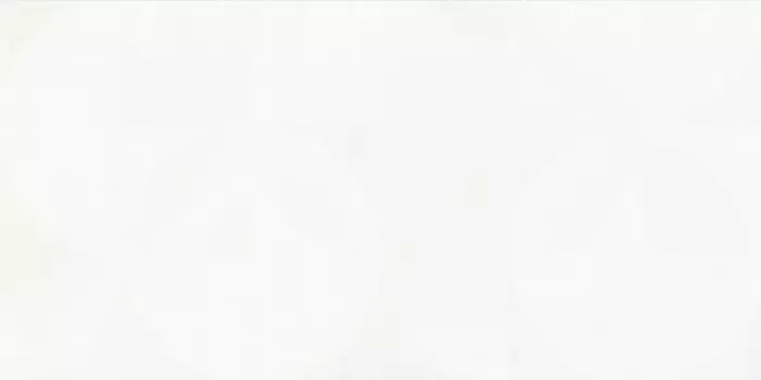 Напольный декор «Infinity Ceramica» Opera Matt. 120х60 carving 00000017034 white