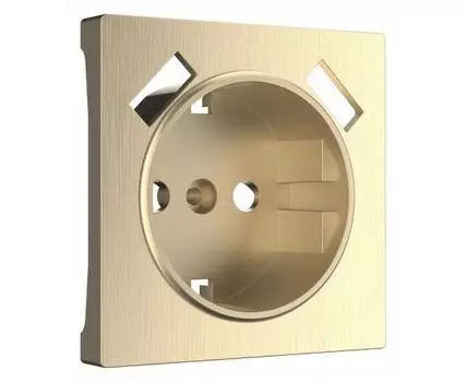 Накладка для розетки с заземлением и 2хUSB Werkel Шампань рифленый W1179510