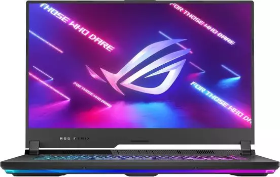 Ноутбук Asus ROG Strix G15 G513IE-HN004T (90NR0582-M00650) серый