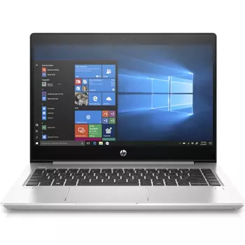 Ноутбук HP ProBook 445R G6 (7DD99EA) серебристый
