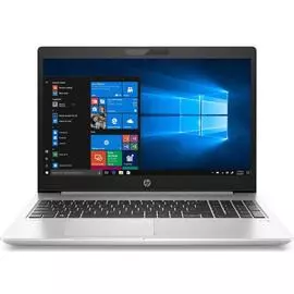 Ноутбук HP ProBook 450 G7 (8MH13EA) серебристый