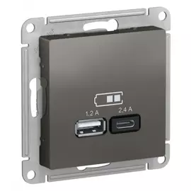 Розетка Schneider Electric usb a+с 5в/2.4 2х5в/1.2 сталь