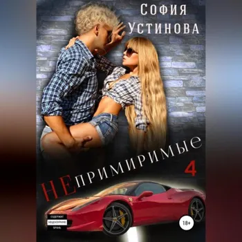 Непримиримые 4