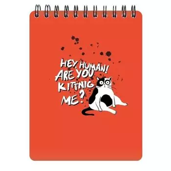 Альбом для рисования Be Smart Hey Human Кот белый, 156 х 207 мм, 45 листов, на спирали