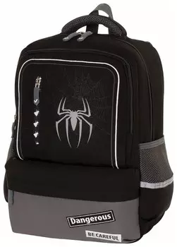 Рюкзак Brauberg Star, "Spider", черный, 40х29х13 см, 229978