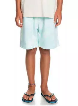 Детские Шорты Quiksilver Slow Dive Tie Dye 8-16