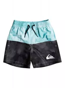 Детские Плавательные Шорты Quiksilver Acid Five 12" 2-7