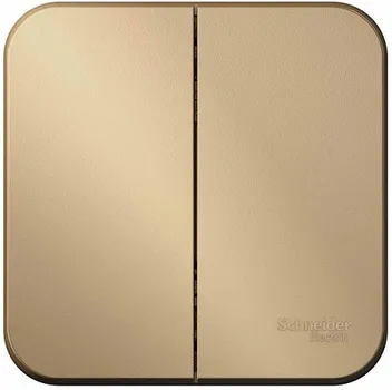 Выключатель Schneider Electric BLNVA105014 2-клавишный 10А, 250B, изолир. пластина Титан наруж