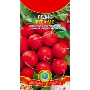 Семена Редис Вера МС 2 гр Плазменные семена