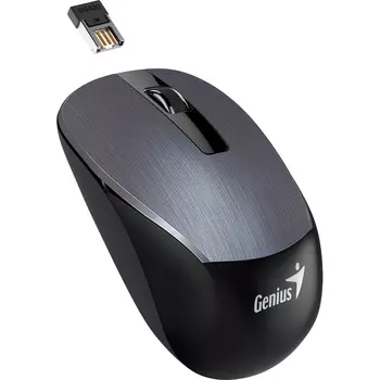 Мышь беспроводная Genius NX-7015, 1600dpi, оптическая светодиодная, USB/Радиоканал, черный/серебристый (31030019404)