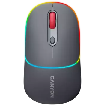 Мышь беспроводная Canyon MW-22, 1600dpi, оптическая светодиодная, Bluetooth/Радиоканал, серый (CNS-CMSW22DG)
