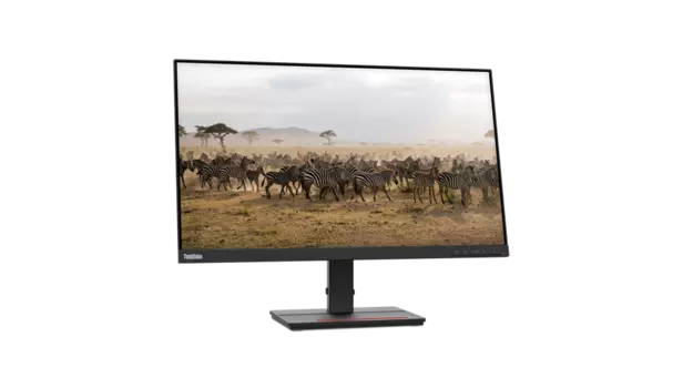 Монитор 27" Lenovo ThinkVision S27e-20 IPS, 1920x1080 (16:9), 250кд/м2, 6мс, 178°/178°, FreeSync, VGA, HDMI, черный (62AFKAT2EU)