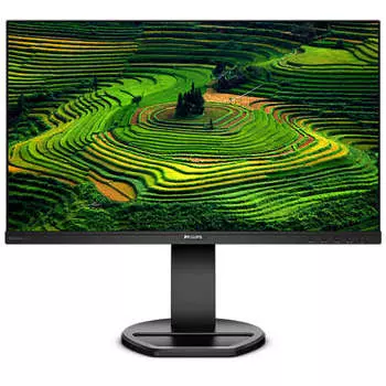 Монитор 23.8" Philips 241B8QJEB IPS, 1920x1080, 250кд/м2, 5мс, USB-Hub, черный (241B8QJEB(00/01))