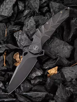 Складной нож WE Knife Hecate, 20CV