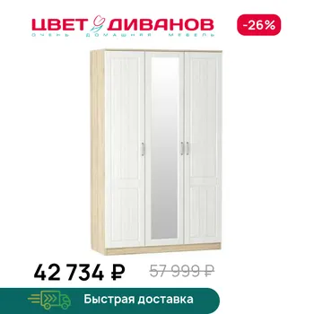 Шкаф для одежды Цвет Диванов