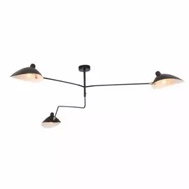 Потолочная люстра ST-Luce SPRUZZO SL305.402.03