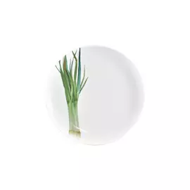 Тарелка закусочная Noritake "Овощной букет.Зелёный лук" 24м