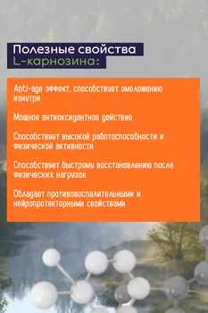 L-Карнозин NOW, 50 шт, капсулы