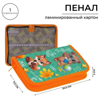 Пенал 1 секция 115 х 205 х 30 мм, calligrata