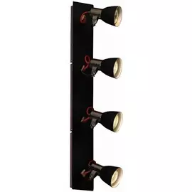 Спот Frontino LSL-7409-04 (Lussole)