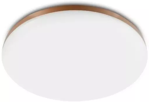 Умный потолочный светильник Yeelight LED Ceiling light, белый (YLXD5001CN)