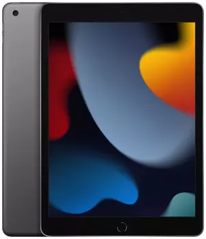 Планшет Apple iPad 10.2 (2021) 256GB Wi-Fi Global (Space Gray)