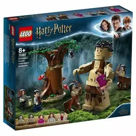 Конструктор Lego Запретный лес: Грохх и Долорес Амбридж 75967