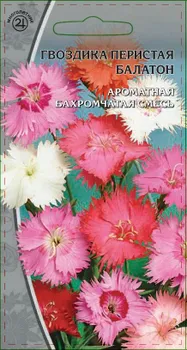 Гвоздика перистая Балатон 0,5 гр