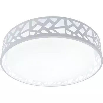 Потолочная светодиодная люстра Leone Toplight TL1205X-72WH