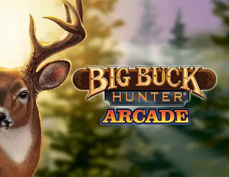 Big Buck Hunter Arcade (PC)