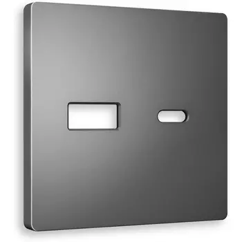 Лицевая панель Ambrella Volt ALFA (Антрацит серый) для розетки 2USB тип A+C QUANT AP6610