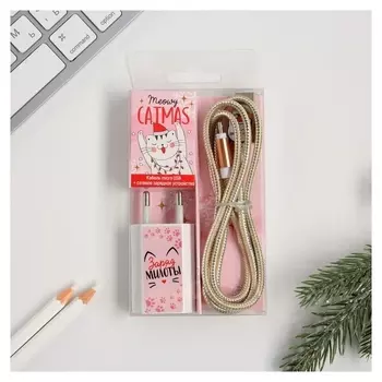 Набор кабель Micro USB + зарядное устройство, модель Pb-02, "Заряд милоты",7,3 х 14,7 см