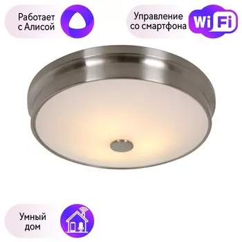 Потолочный светильник Favourite Pannikin с поддержкой Алиса 2691-3C-А