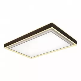 Потолочная светодиодная люстра с пультом ДУ iLedex Summery B6233-196W/930*630 Белый