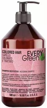 Dikson, Шампунь для окрашенных волос Everygreen Colored-Hair Shampoo Protettivo, 500 мл