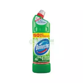 Чистящее средство Domestos Хвойная свежесть 1 л