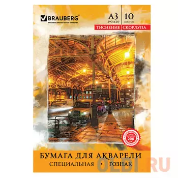 Папка для акварели BRAUBERG Скорлупа A3 10 листов