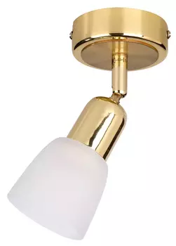 Спот Escada Fabius E14 40 Вт 3 кв.м золото/белый IP20 (5039/1PA)