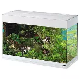 Аквариум Ferplast Dubai 80 LED 125 л (125 л, Белый)