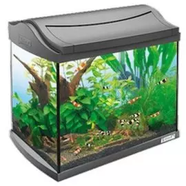 Аквариумный комплекс Tetra AquaArt Shrimps Discover Line для рыб (20 л, )