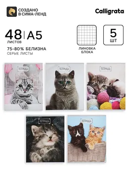 Набор тетрадей, 48 листов в клетку, calligrata