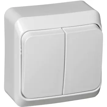Выключатель двухклавишный (белый) Systeme Electric BA10-002B