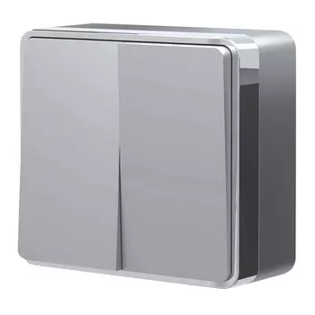 Выключатель двухклавишный Gallant (серебряный) Werkel W5020006 (a052769)
