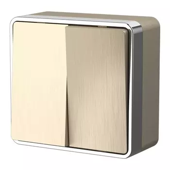 Выключатель двухклавишный Gallant (шампань рифленый) Werkel W5020010 (a051044)