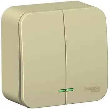 Выключатель двухклавишный с подсветкой (бежевый) Systeme Electric Blanca BLNVA105117