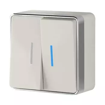 Выключатель двухклавишный с подсветкой Gallant (слоновая кость) Werkel W5020103 (a051550)