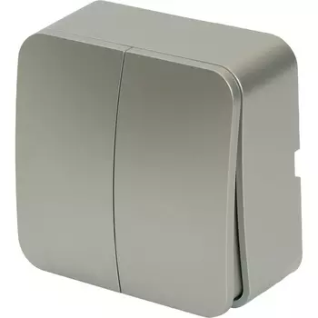 Выключатель двухклавишный (серебро) Stekker София 49297