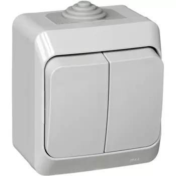 Выключатель двухклавишный (серый) Systeme Electric BA10-042C